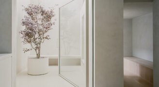 minimalism in automated pivot doors